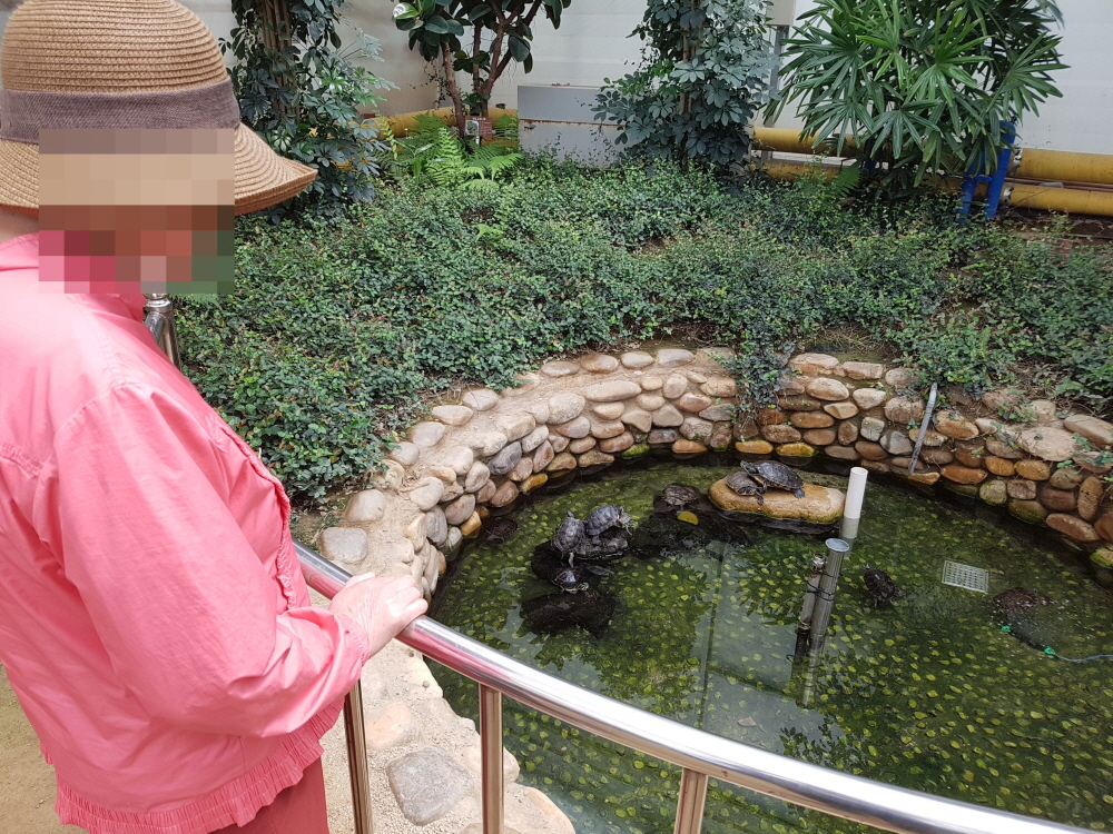 20180510_132518.jpg